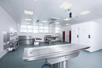 Патолого-анатомические исследования